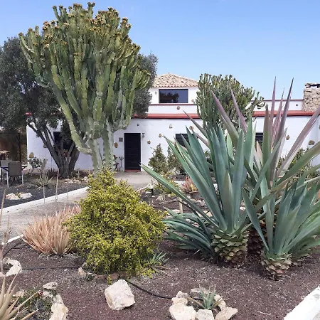 Bed and Breakfast Vital Fuerteventura - Atmospheric, Small-scale, Adults Only *